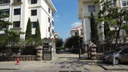 海南维也纳小区最新爆料,揭秘神秘事件背后的真相